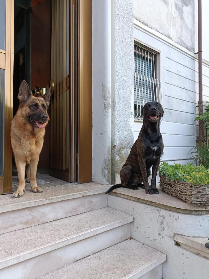 Chez Martha Bed and Breakfast Βερόνα Εξωτερικό φωτογραφία